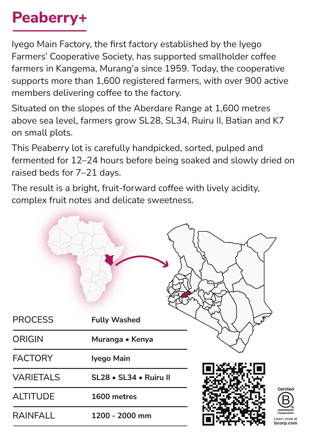 Peaberry (Iyego) info card back