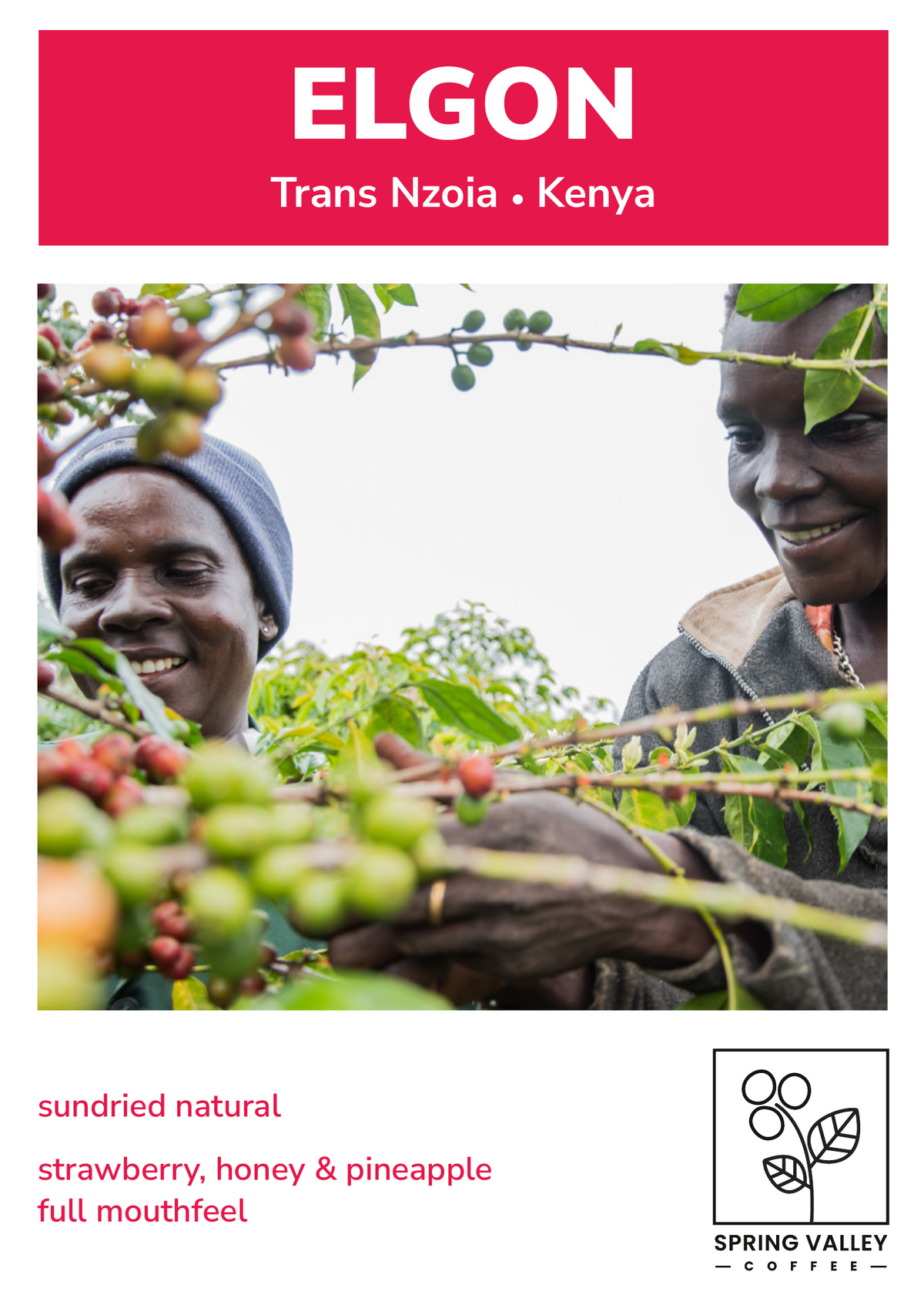 Elgon info card — tasting notes and origin