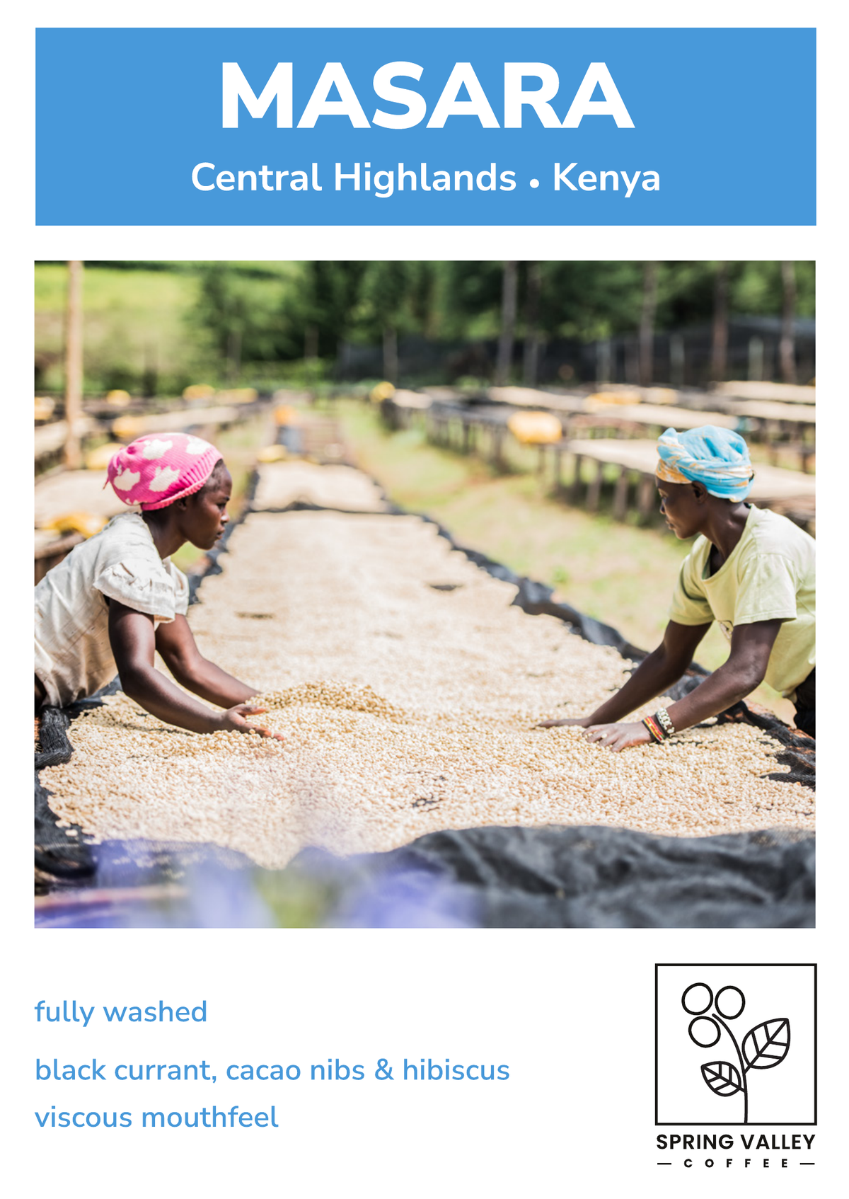 Espresso (Masara) info card — tasting notes and origin
