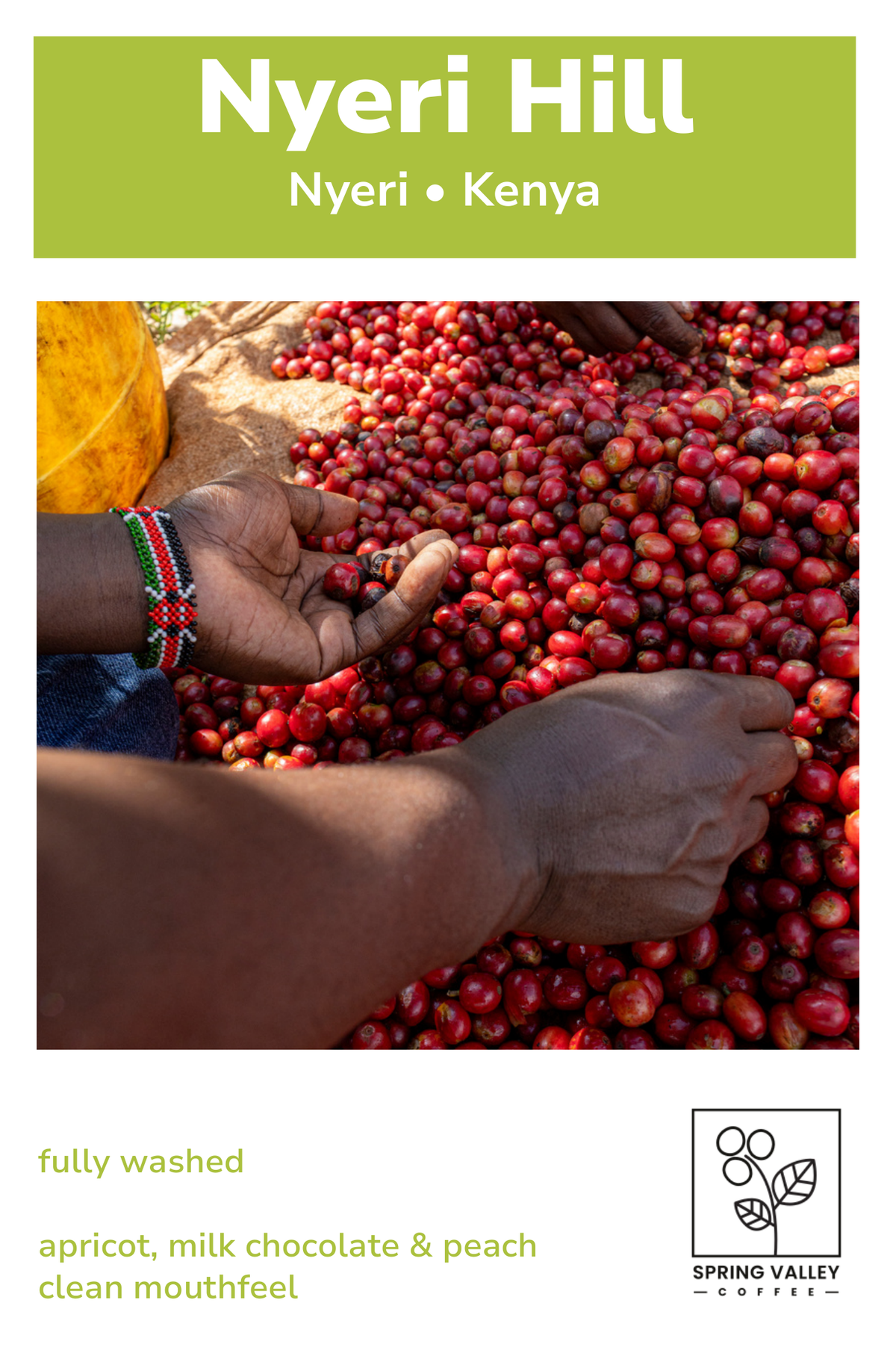 Nyeri Hill info card — tasting notes and origin