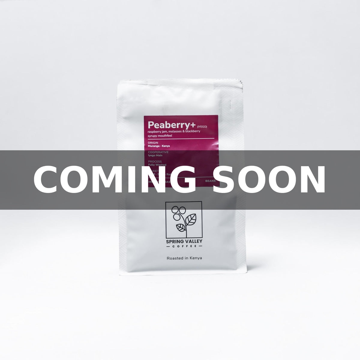 Peaberry (Iyego) Coming Soon
