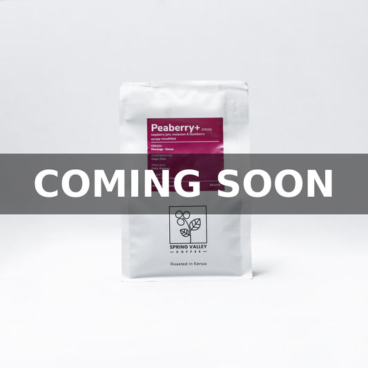 Peaberry (Iyego) Coming Soon